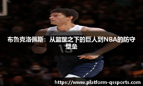 布鲁克洛佩斯：从篮筐之下的巨人到NBA的防守壁垒